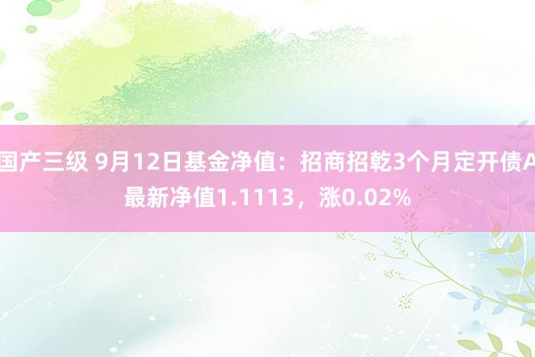 国产三级 9月12日基金净值：招商招乾3个月定开债A最新净值1.1113，涨0.02%