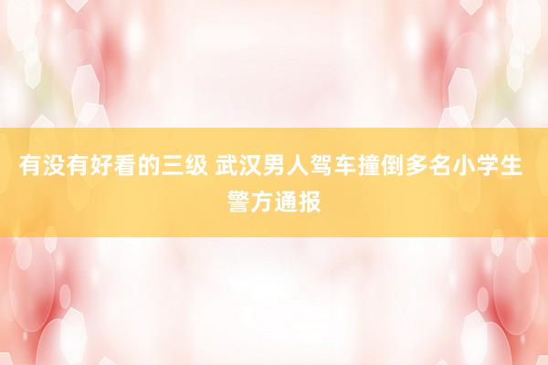 有没有好看的三级 武汉男人驾车撞倒多名小学生 警方通报