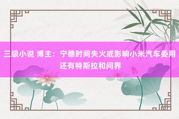 三级小说 博主：宁德时间失火或影响小米汽车委用 还有特斯拉和问界