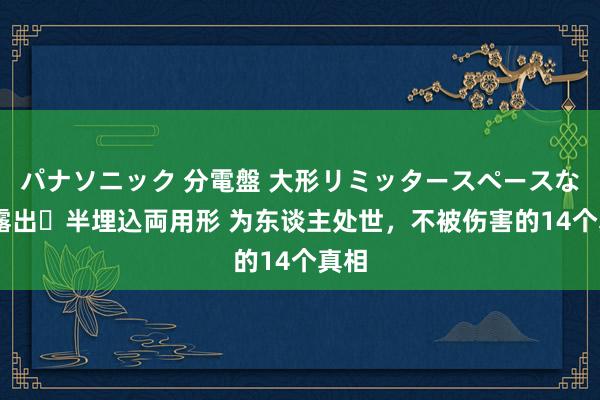 パナソニック 分電盤 大形リミッタースペースなし 露出・半埋込両用形 为东谈主处世,不被伤害的14个真相