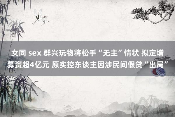 女同 sex 群兴玩物将松手“无主”情状 拟定增募资超4亿元 原实控东谈主因涉民间假贷“出局”