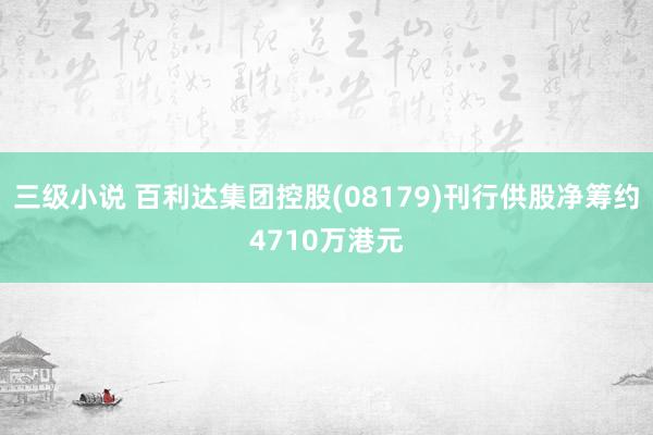 三级小说 百利达集团控股(08179)刊行供股净筹约4710万港元