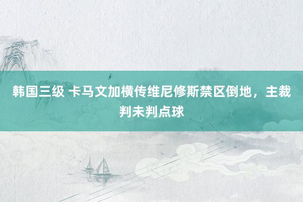 韩国三级 卡马文加横传维尼修斯禁区倒地，主裁判未判点球