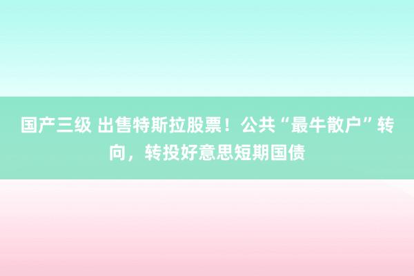 国产三级 出售特斯拉股票！公共“最牛散户”转向，转投好意思短期国债
