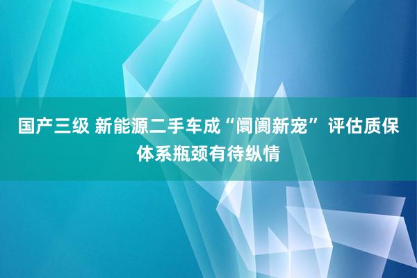 国产三级 新能源二手车成“阛阓新宠” 评估质保体系瓶颈有待纵情