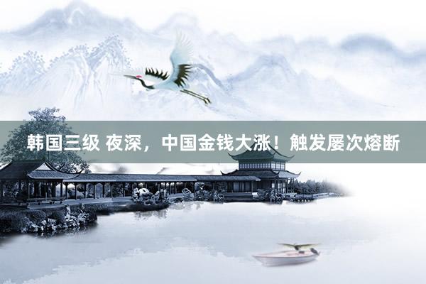韩国三级 夜深，中国金钱大涨！触发屡次熔断