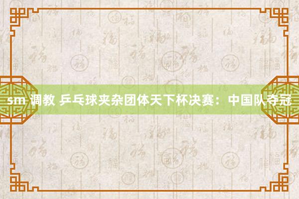 sm 调教 乒乓球夹杂团体天下杯决赛：中国队夺冠