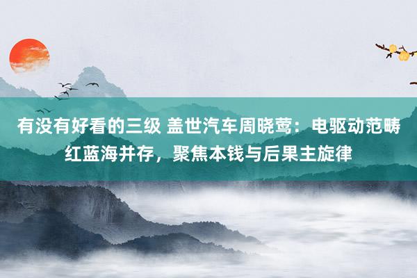 有没有好看的三级 盖世汽车周晓莺：电驱动范畴红蓝海并存，聚焦本钱与后果主旋律
