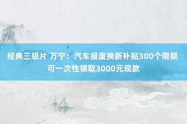 经典三级片 万宁：汽车报废换新补贴300个限额 可一次性领取3000元现款