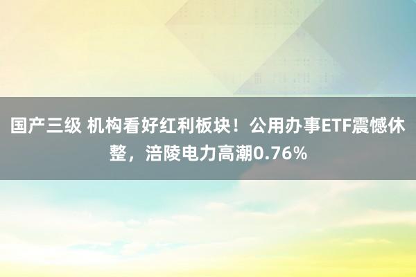 国产三级 机构看好红利板块！公用办事ETF震憾休整，涪陵电力高潮0.76%