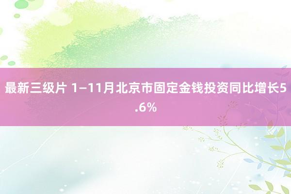 最新三级片 1—11月北京市固定金钱投资同比增长5.6%
