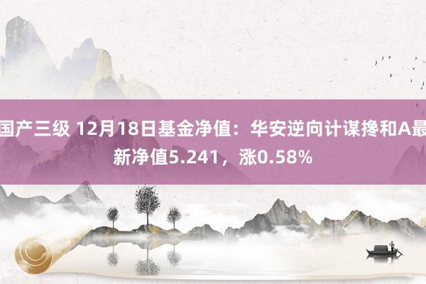 国产三级 12月18日基金净值：华安逆向计谋搀和A最新净值5.241，涨0.58%