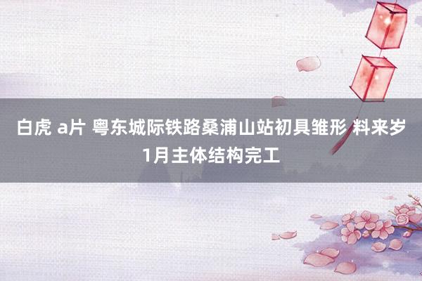 白虎 a片 粤东城际铁路桑浦山站初具雏形 料来岁1月主体结构完工