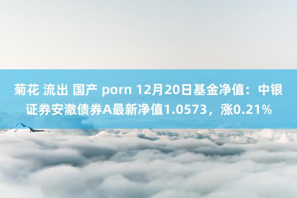 菊花 流出 国产 porn 12月20日基金净值：中银证券安澈债券A最新净值1.0573，涨0.21%