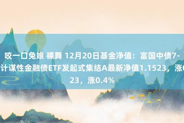 咬一口兔娘 裸舞 12月20日基金净值：富国中债7-10年计谋性金融债ETF发起式集结A最新净值1.1523，涨0.4%