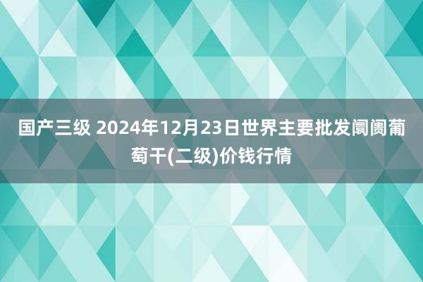 国产三级 2024年12月23日世界主要批发阛阓葡萄干(二级)价钱行情