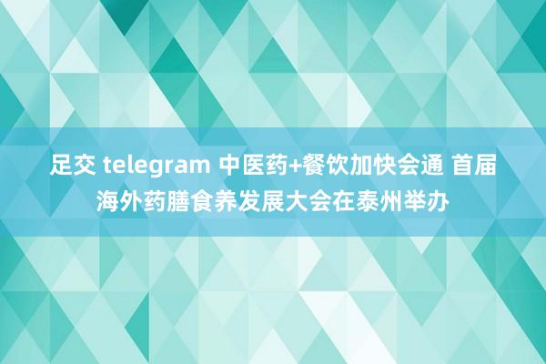 足交 telegram 中医药+餐饮加快会通 首届海外药膳食养发展大会在泰州举办