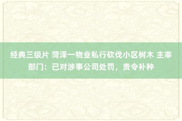 经典三级片 菏泽一物业私行砍伐小区树木 主宰部门：已对涉事公司处罚，责令补种