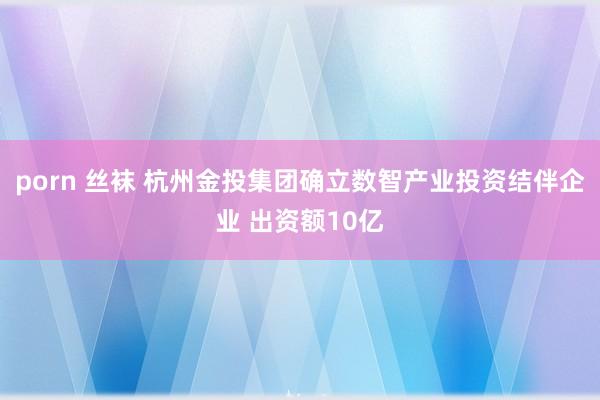 porn 丝袜 杭州金投集团确立数智产业投资结伴企业 出资额10亿
