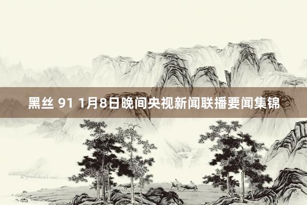 黑丝 91 1月8日晚间央视新闻联播要闻集锦