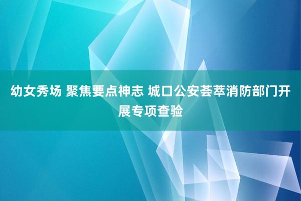 幼女秀场 聚焦要点神志 城口公安荟萃消防部门开展专项查验