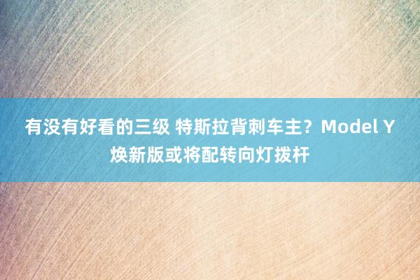 有没有好看的三级 特斯拉背刺车主？Model Y焕新版或将配转向灯拨杆