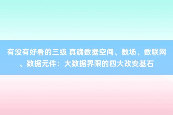 有没有好看的三级 真确数据空间、数场、数联网、数据元件：大数据界限的四大改变基石