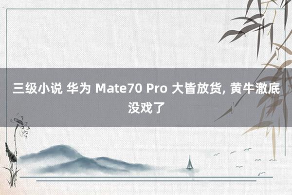 三级小说 华为 Mate70 Pro 大皆放货， 黄牛澈底没戏了