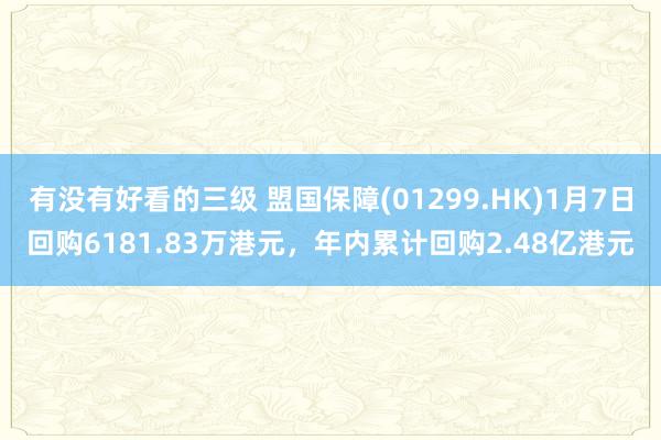 有没有好看的三级 盟国保障(01299.HK)1月7日回购6181.83万港元，年内累计回购2.48亿港元