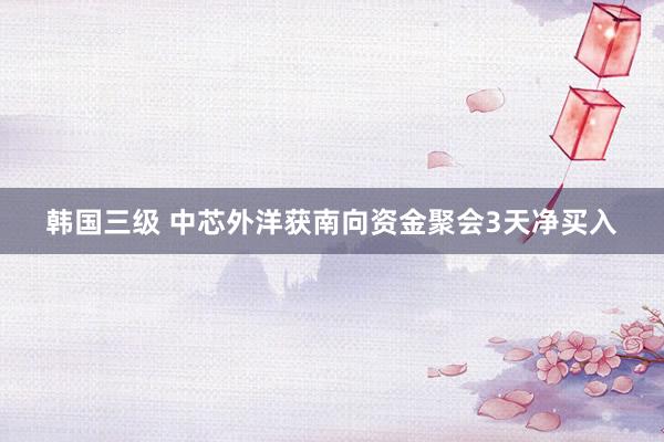 韩国三级 中芯外洋获南向资金聚会3天净买入