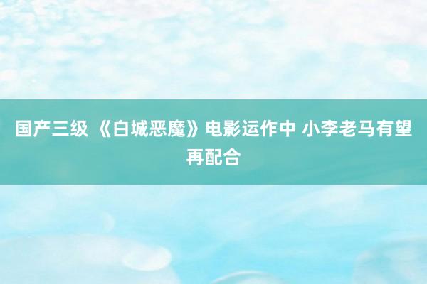 国产三级 《白城恶魔》电影运作中 小李老马有望再配合