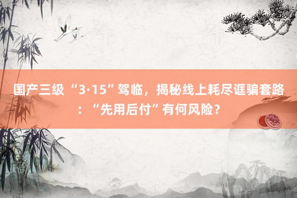 国产三级 “3·15”驾临，揭秘线上耗尽诓骗套路：“先用后付”有何风险？