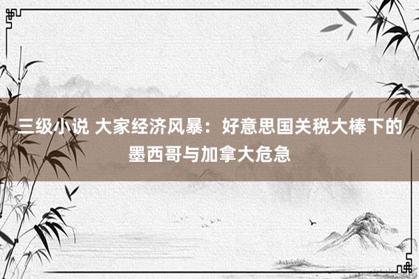 三级小说 大家经济风暴：好意思国关税大棒下的墨西哥与加拿大危急