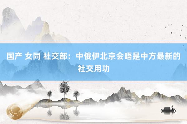 国产 女同 社交部：中俄伊北京会晤是中方最新的社交用功