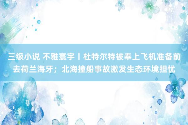 三级小说 不雅寰宇丨杜特尔特被奉上飞机准备前去荷兰海牙；北海撞船事故激发生态环境担忧