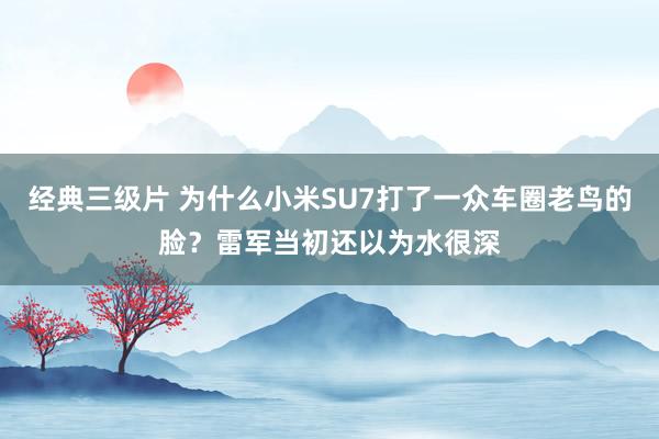 经典三级片 为什么小米SU7打了一众车圈老鸟的脸？雷军当初还以为水很深