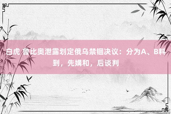 白虎 鲁比奥泄露划定俄乌禁锢决议：分为A、B料到，先媾和，后谈判