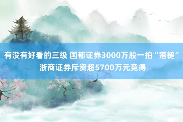 有没有好看的三级 国都证券3000万股一拍“落槌” 浙商证券斥资超5700万元竞得