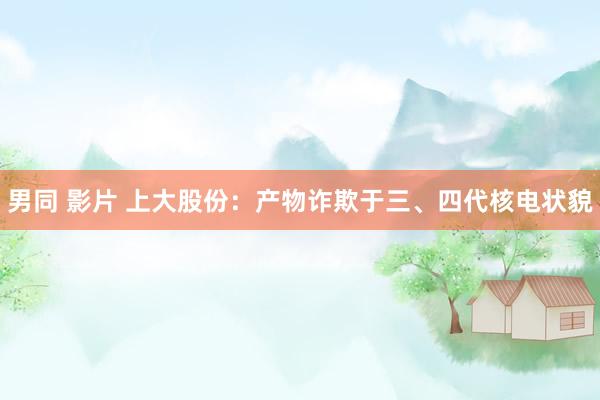 男同 影片 上大股份：产物诈欺于三、四代核电状貌