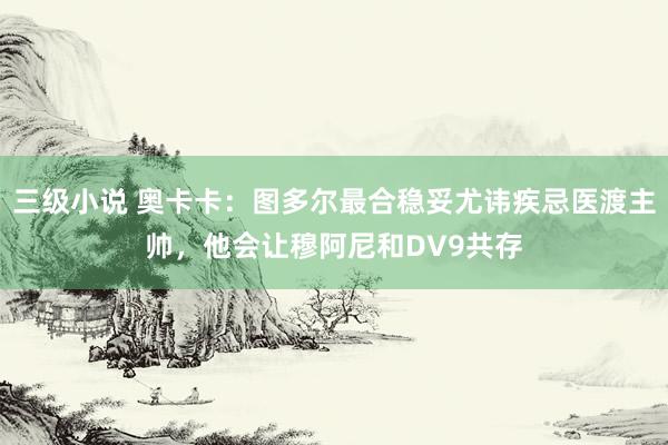 三级小说 奥卡卡：图多尔最合稳妥尤讳疾忌医渡主帅，他会让穆阿尼和DV9共存