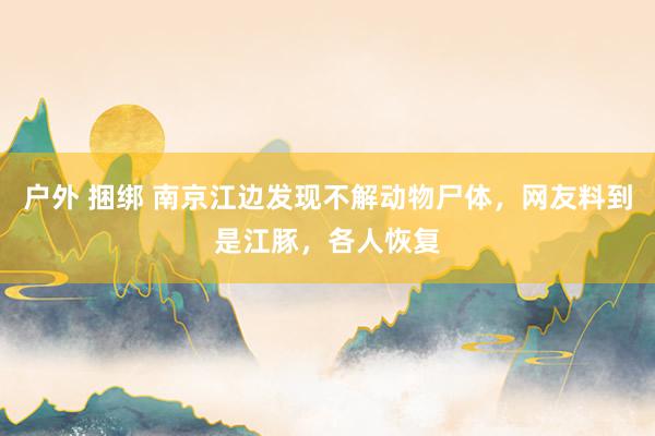 户外 捆绑 南京江边发现不解动物尸体，网友料到是江豚，各人恢复