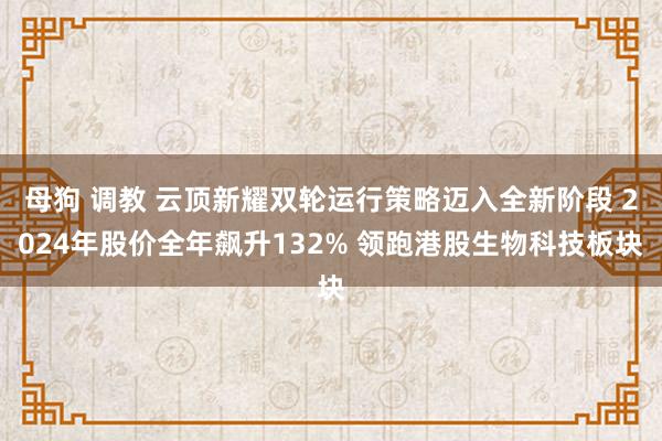 母狗 调教 云顶新耀双轮运行策略迈入全新阶段 2024年股价全年飙升132% 领跑港股生物科技板块