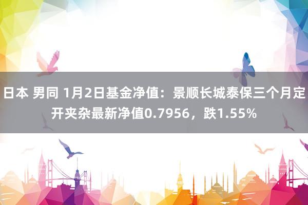 日本 男同 1月2日基金净值：景顺长城泰保三个月定开夹杂最新净值0.7956，跌1.55%