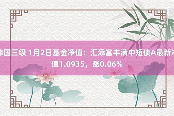 韩国三级 1月2日基金净值：汇添富丰满中短债A最新净值1.0935，涨0.06%