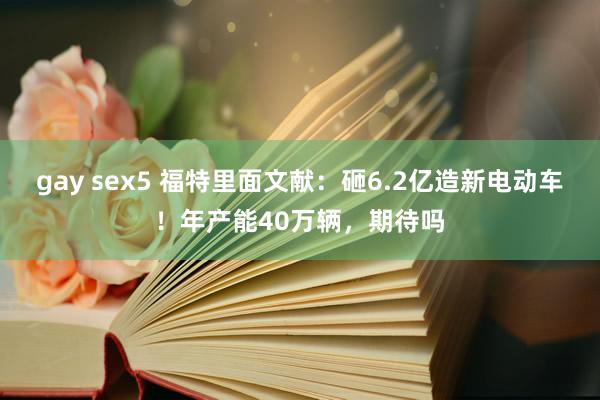gay sex5 福特里面文献：砸6.2亿造新电动车！年产能40万辆，期待吗