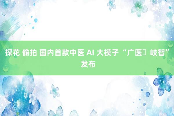 探花 偷拍 国内首款中医 AI 大模子 “广医・岐智” 发布