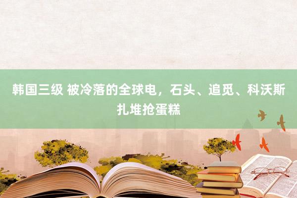 韩国三级 被冷落的全球电，石头、追觅、科沃斯扎堆抢蛋糕