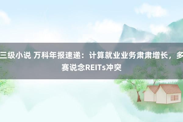 三级小说 万科年报速递：计算就业业务肃肃增长，多赛说念REITs冲突