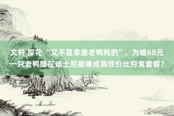 文轩 探花 “又不是拿唐老鸭炖的”，为啥68元一只老鸭腿在迪士尼被捧成高性价比穷鬼套餐？