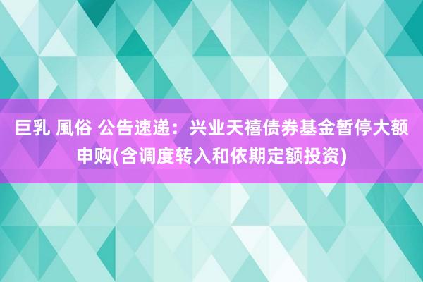 巨乳 風俗 公告速递：兴业天禧债券基金暂停大额申购(含调度转入和依期定额投资)